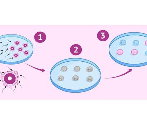新活素静脉泵入用法用量,长期肾虚如何调养
