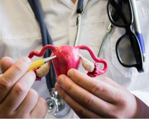 香港验血机构周末休息吗,香港能验血查男女联系_性别鉴定该如何预约!