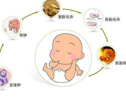 南方泵使用说明书,1206什么星座