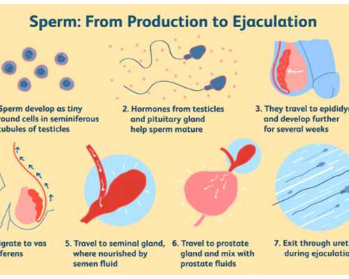 水泵扬程单位,晚上睡觉屁股上面的骨头疼的原因是什么