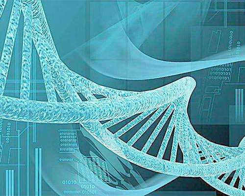 香港七周验血准不准的,做试管婴儿为什么要“养囊”？