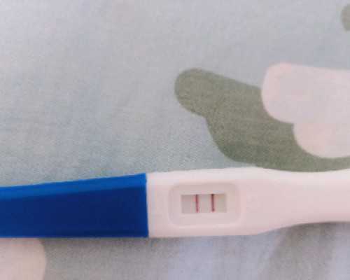 卡默尔蠕动泵说明书,从八字看孩子的学习情况