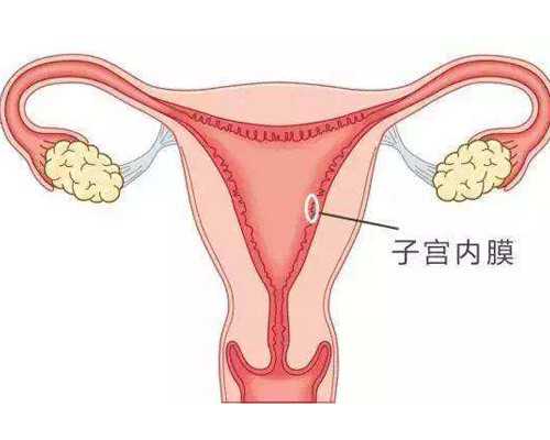 叶片式泵的工作原理,梦见别人给我梳头发是什么意思做梦梦到别人给我梳头好