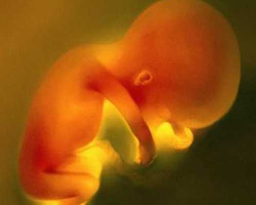 香港验血测男女 正规吗,北京哪个医院做试管婴儿好 试管婴儿和自然怀孕的区别