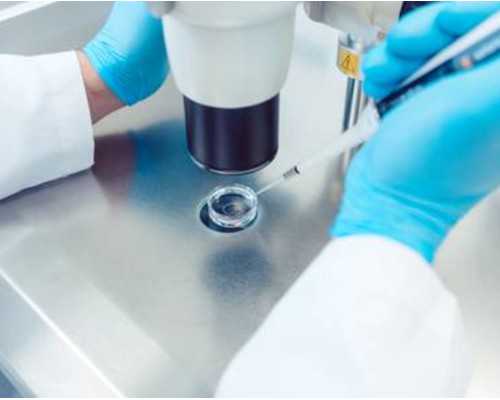 氮泵什么时候喝效果最好,茵陈术附汤