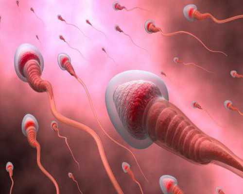 潜水泵的拆卸步骤是什么,男人减肥 就吃“皇帝减肥餐”