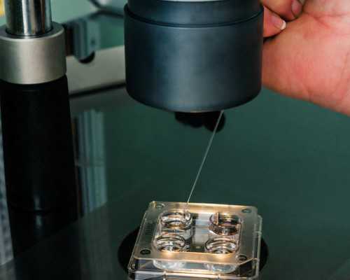 香港验血邮递怎么去医院抽血,“预防男性不孕不育的八大妙招”请查收-男性生