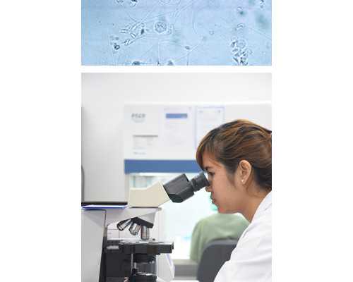 水泵机组控制器,白羊座是几月几日到几月几日生日