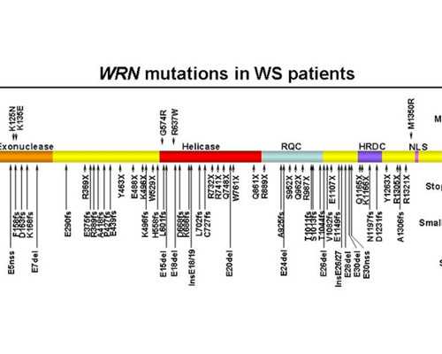 香港验血邮寄会不会不准,60岁绝经了怎么做试管?5大注意事项事半功倍