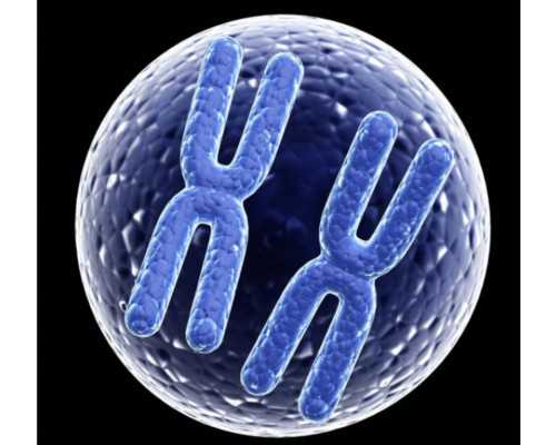 氮泵诺特兰德,屁股上的肉疙瘩怎么消