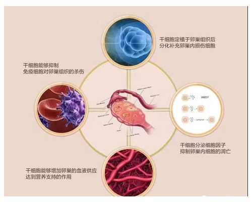 香港验血多长时间出结果,备孕同房后躺了2小时还是流出来了,会影响备孕结果