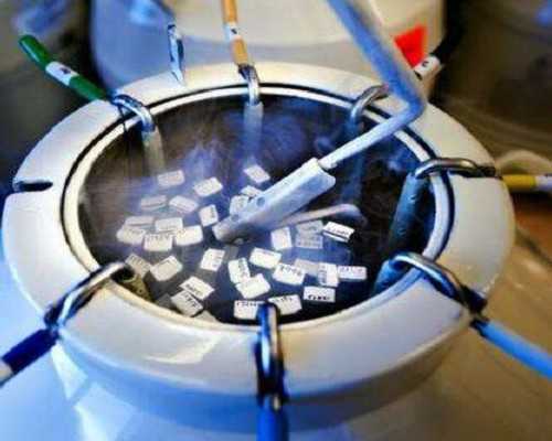 香港验血查男女抽血有分抽哪个手吗,16周香港验血测胎儿性别准吗_没y生了男孩