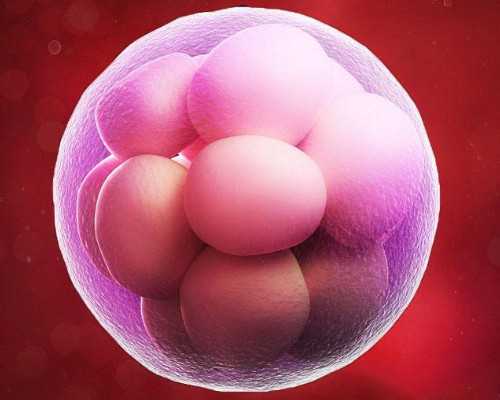 香港6周验血测男女准吗,经期与排卵期有什么联系