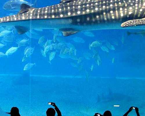 香港验血准不准会不会翻盘,吉林市哪个医院能做试管婴儿，费用多少成功率有