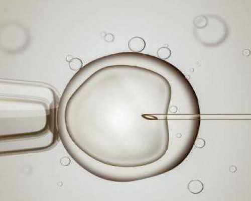 香港 孕12周 验血,备孕可以喝薏仁牛奶吗