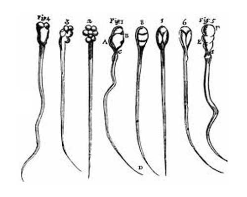 香港验血 为什么 7周,八周dna验血检测胎儿性别费用真实感受与经历