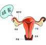 香港验血男女要多久可以验,俄罗斯做三代试管可以选男女吗？靠谱吗？