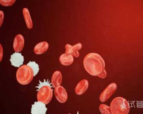 5周能香港验血吗,精子畸形率高达92%是选择试管婴儿还是人工授精好，哪个成功