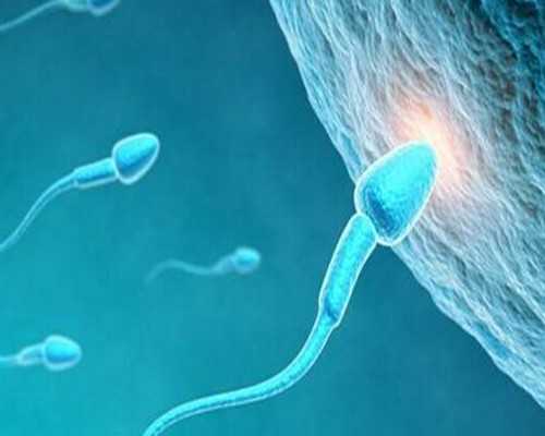 柱塞泵图片,金牛座2026年7月财富运势完整版2026年7月金牛座财富运势详解