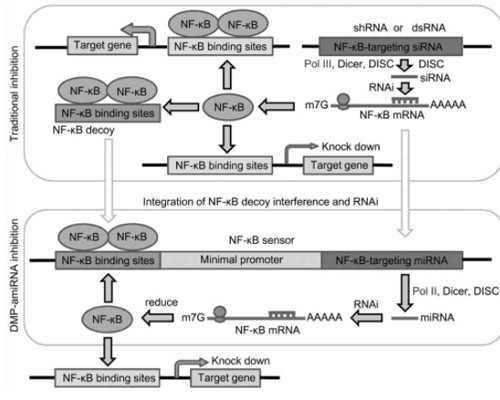 香港验血邮寄要几天,试管婴儿微刺激方案过程全介绍,你熟悉的它原来“长”