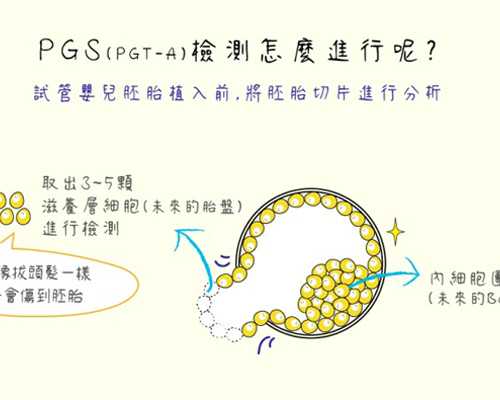 香港验血几个ve是男的,香港验血查男女收费_检测性别会不会是骗人的