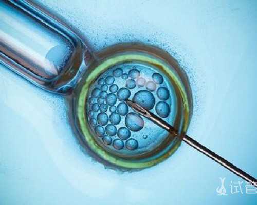 微量泵入缩写ivvp,白灼基围虾