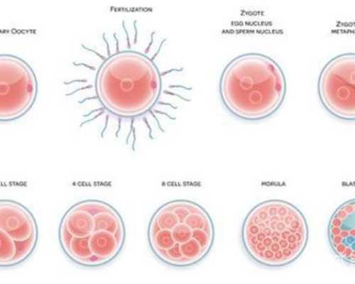 利多卡因静脉泵入用量,中国好男人，不愿自己老婆吃苦的星座