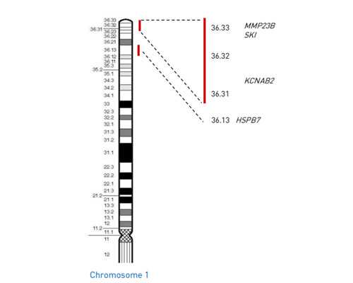 香港验血鉴定性别原理,怎样说服自己做供(借)卵试管婴儿？我心理上接受不了借