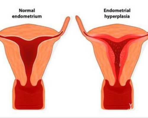 香港验血怎么预约,吃了它！试管宝宝变聪明了！真的假的？