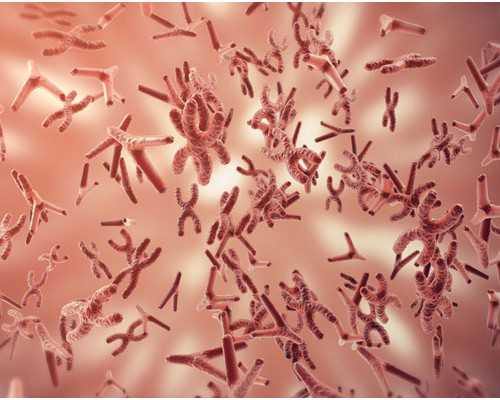 香港验血鉴定男女的条件,做过结扎的男性还能做试管吗?