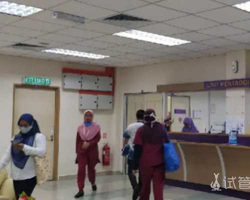 香港 验血查男女,怀孕八周香港验血准吗_胎儿性别鉴定有科学依据吗