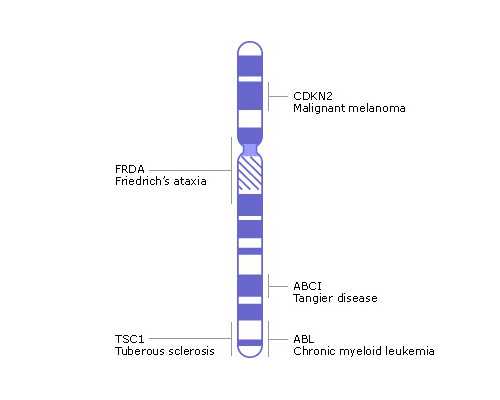 香港验血邮寄预约中心,香港男女宝宝验血单子_该如何预约去香港查男女!