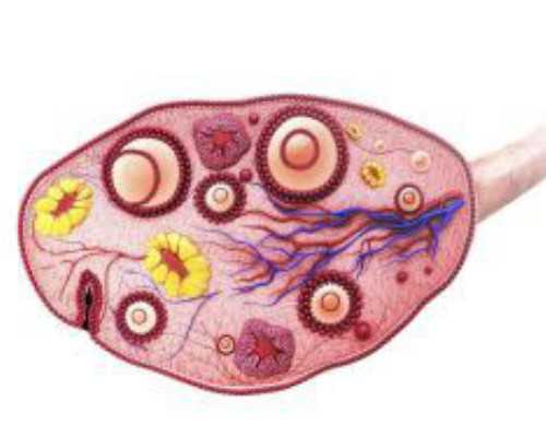 胰岛素泵英文名称,做腰椎间盘突出的微创手术对年龄有要求吗