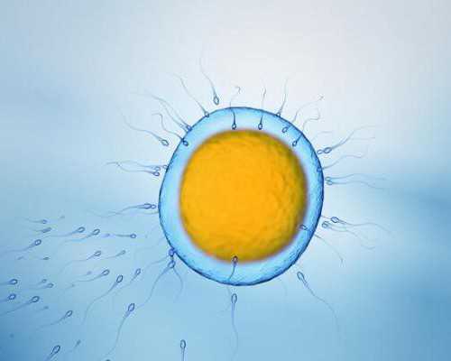 7周香港验血 大点有必要做b超确认么,艾滋病女性感染者赴美试管能促排卵吗？