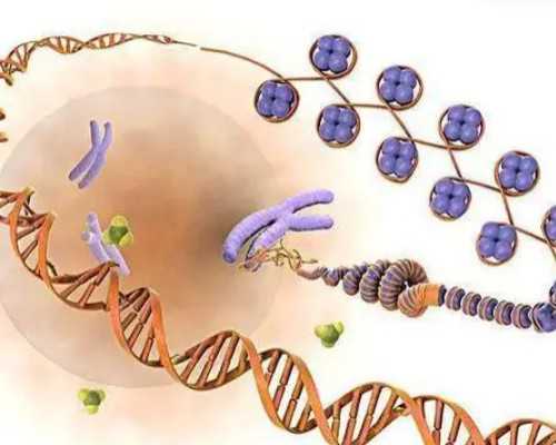 怀孕30天香港验血,流产5个月怀孕香港验血准吗_验血查性别哪个验机构准!