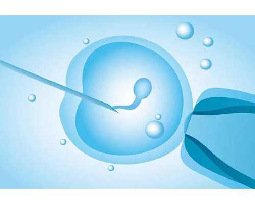 深圳香港验血两次结果相反,【台湾供卵试管怎么做？供卵怀孕了的姐妹有吗】