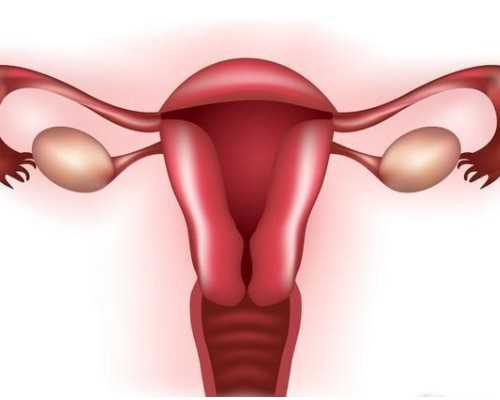 香港邮寄验血结果出错,香港验血查性别六周可做吗_权威的香港DNA化验所哪家准