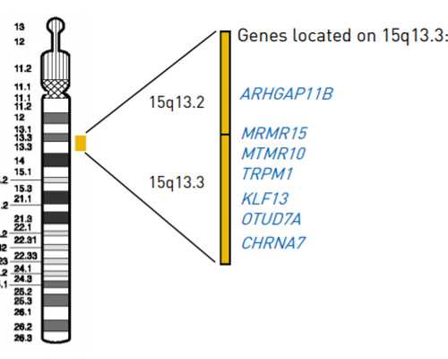 国二大泵是电喷吗,狮子座是不是最喜欢双鱼喜欢的原因有哪些