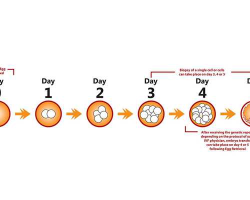 香港验血怎么算时间,心理原因会导致不孕不育