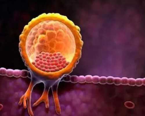 香港验血的医生有哪些,去香港验血可以验两次吗_千万别错过的最全性别鉴定攻