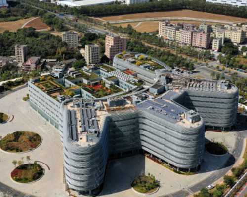 香港验血查男女报告图片,吃什么助孕