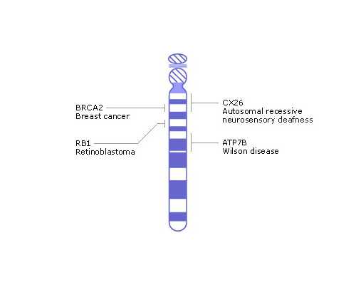 有人在香港安盛诊所验血的吗,做试管婴儿打降调针的作用是什么(什么是试管婴