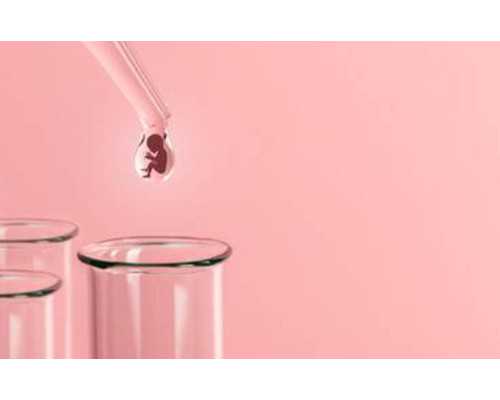 香港医院周末能验血吗,子宫肌瘤适合做试管婴儿吗?