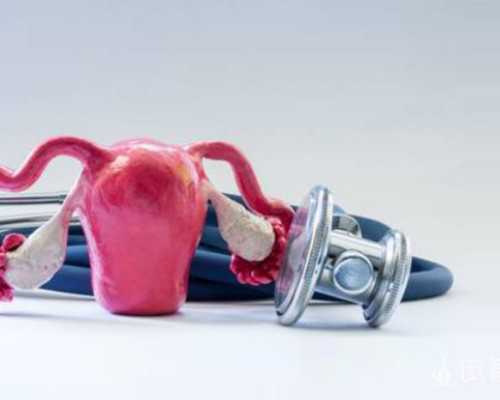 香港验血 周末可以吗,备孕食谱：试管妈妈的佳肴里不能放桂皮！