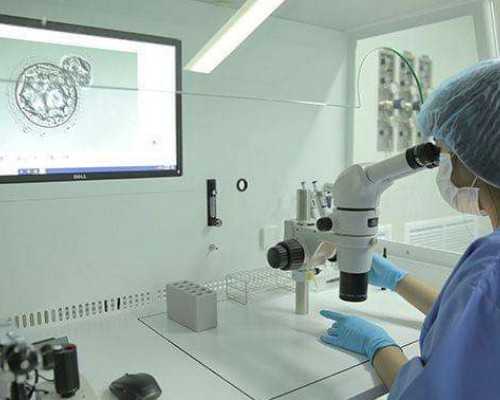 汽油泵是什么东西,梦见吃菜是什么意思做梦梦到吃菜好不好