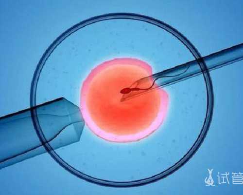 自吸泵的吸程是什么如何计算?,简单塑背操轻松增高5cm