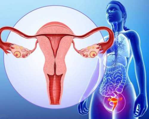 香港验血怎么分辨真假中介,生不出孩子是我一个人的问题吗？导致不孕不育的