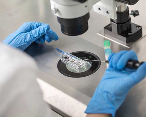 离心水泵型号及参数,梦见大米