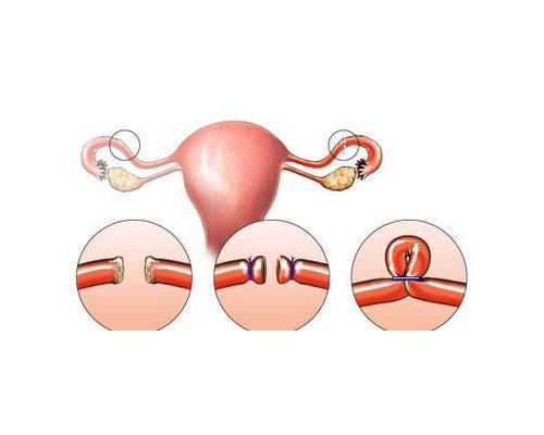 国外水泵品牌,闹闹女巫12星座一周星座运势11-17