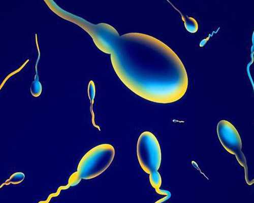 香港裕力预约验血,积极备孕却怀不上？女性不孕，查查这些项目！